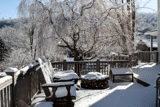 Snow on French Hill